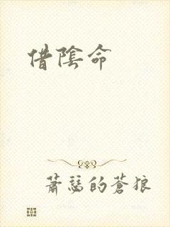 借阴命