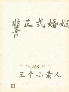 非正式婚姻雾里青