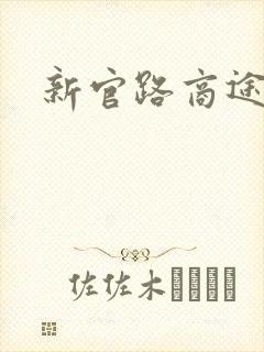 新官路商途