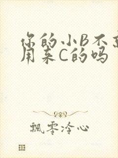 你的小B不就是用来C的吗