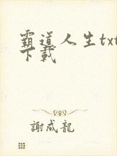霸道人生txt下载
