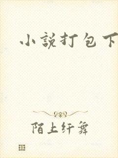 小说打包下载
