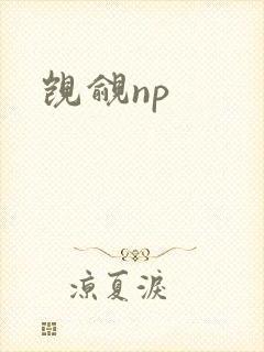 觊觎np