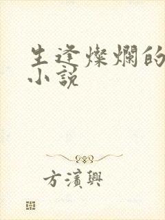 生逢灿烂的日子小说