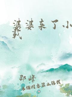 婆婆来了小说下载