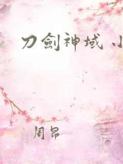 刀剑神域 小说