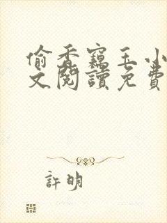 偷香窃玉小说全文阅读免费