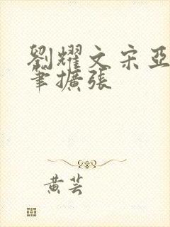 刘耀文宋亚轩用笔扩张