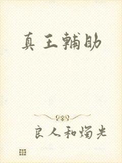 真王辅助
