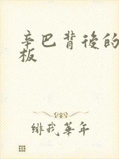 辛巴背后的人老板