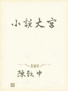 小说大宫