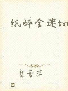 纸醉金迷txt