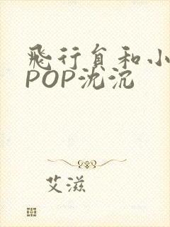 飞行员和小空乘POP沈沉