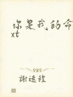 你是我的命运txt