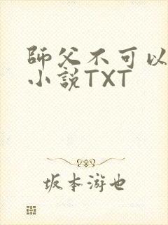师父不可以灵犀小说TXT