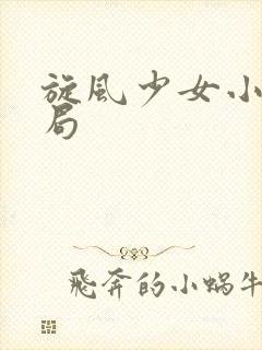 旋风少女小说结局