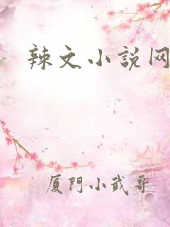 辣文小说网