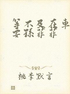 等不及在车里就要孙菲菲