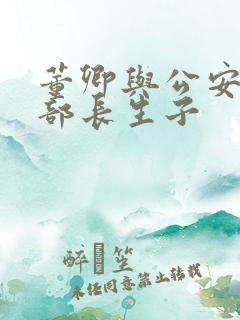 董卿与公安部副部长生子