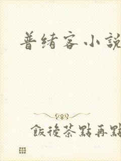 普绪客小说