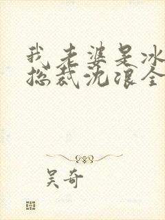 我老婆是冰山女总裁沈浪全集