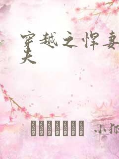 穿越之悍妻共三夫