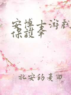 安博士游戏插件保护伞