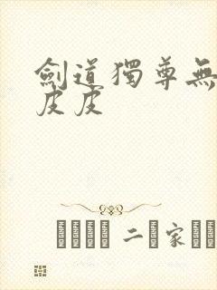 剑道独尊无弹窗皮皮