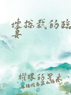 坏总裁的临时娇妻