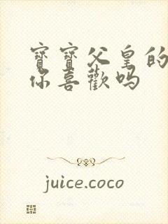 宝宝父皇的东西你喜欢吗