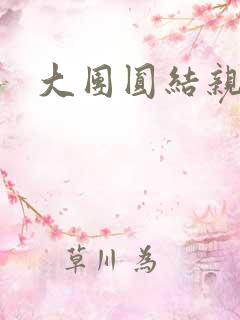 大团圆结亲情会