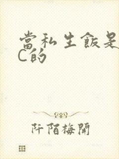 当私生饭是要挨C的