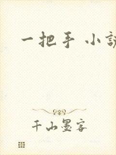 一把手 小说