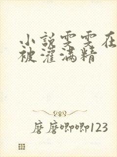 小说雯雯在工地被灌满精