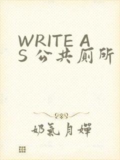 WRITE AS 公共厕所