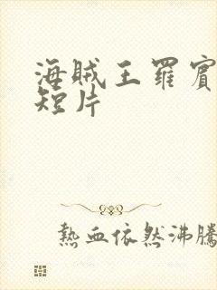 海贼王罗宾被h短片