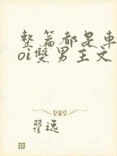 整篇都是车的doi双男主文