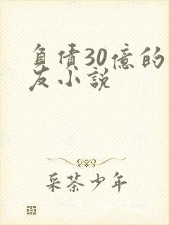 负债30亿的男友小说