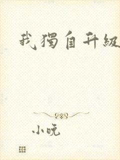 我独自升级小说