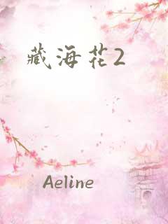 藏海花2