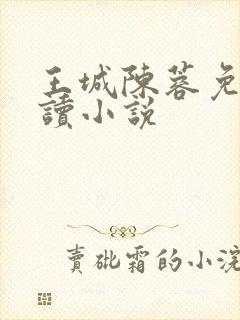 王城陈蓉免费阅读小说