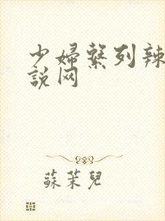 少妇系列辣文小说网