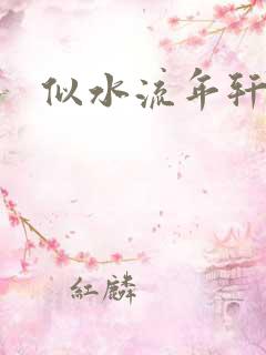 似水流年轩辕悬