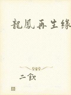 龙凤再生缘