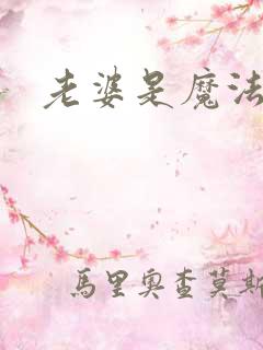 老婆是魔法少女