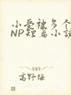 小受被多个攻强NP短篇小说