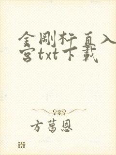 金刚杵直入莲花宫txt下载