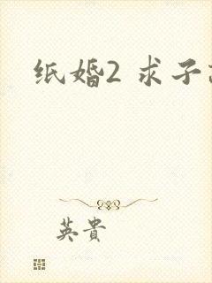 纸婚2 求子记