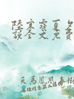 陆寒霆夏夕绾小说全文免费阅读落秋