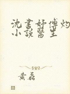 沈书妤傅灼抖音小说医生